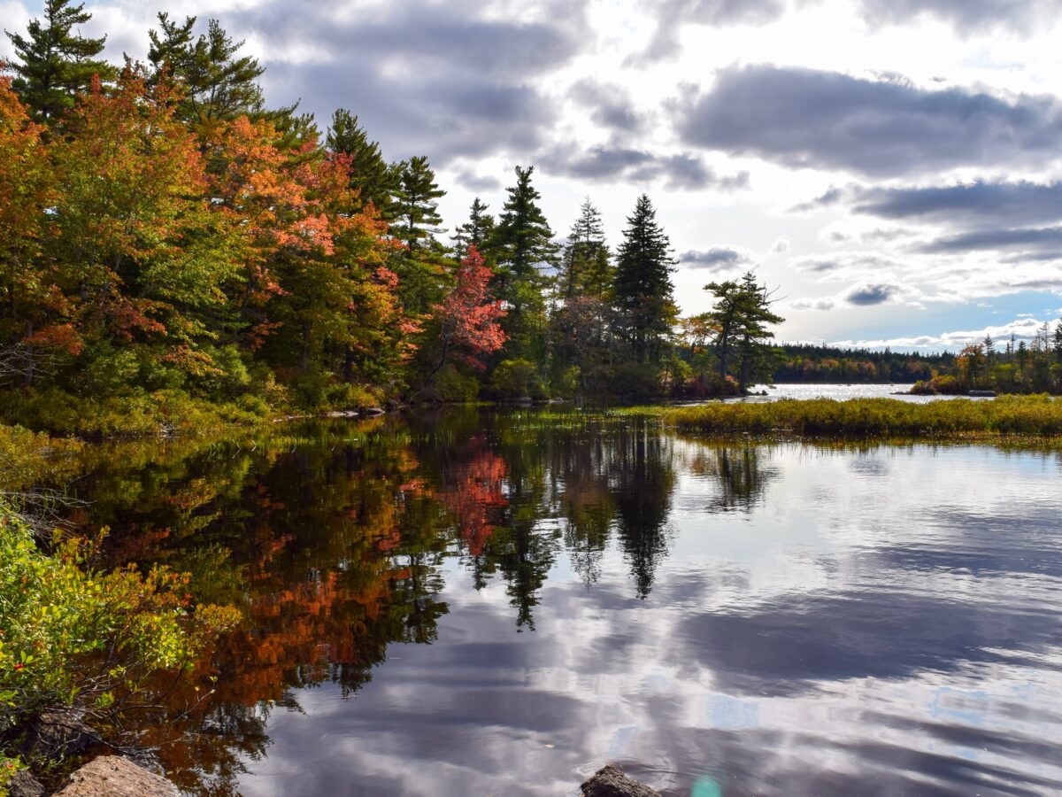 Nova Scotia Nature Trust Protects Urban Wilderness in the Halifax Area ...