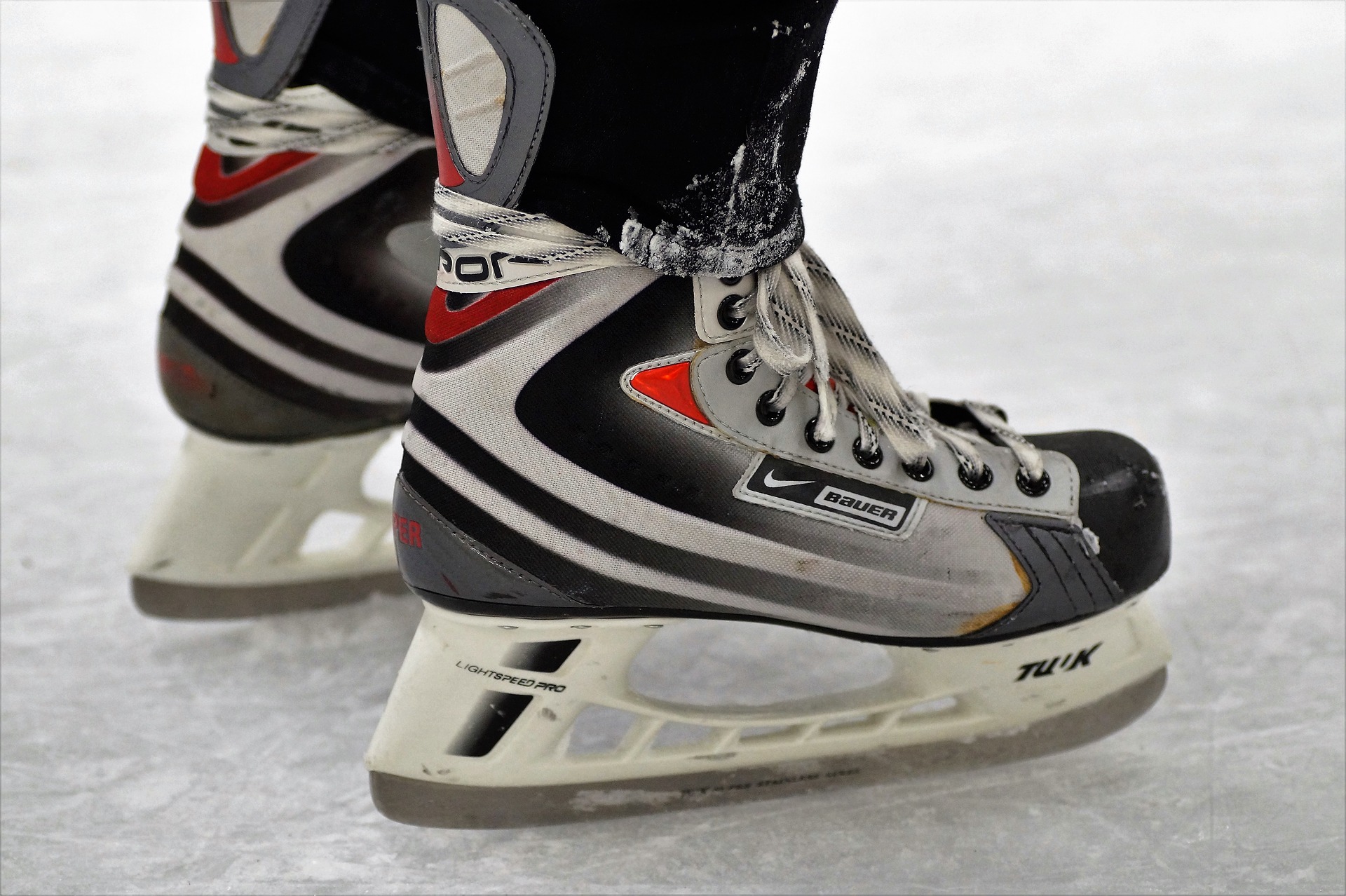 Pictou County Scotians Forfeit Wins after Nova Scotia Junior Hockey Leagues finds Team had an Ineligible Player on its Roser