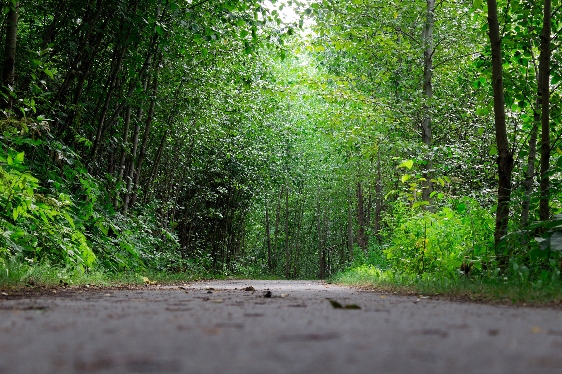 Province provides funding to Antigonish County Groups to upgrade and expand Trails